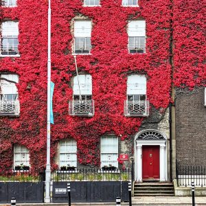 Dublin in October: 31 Fun Things to See, Do & Eat